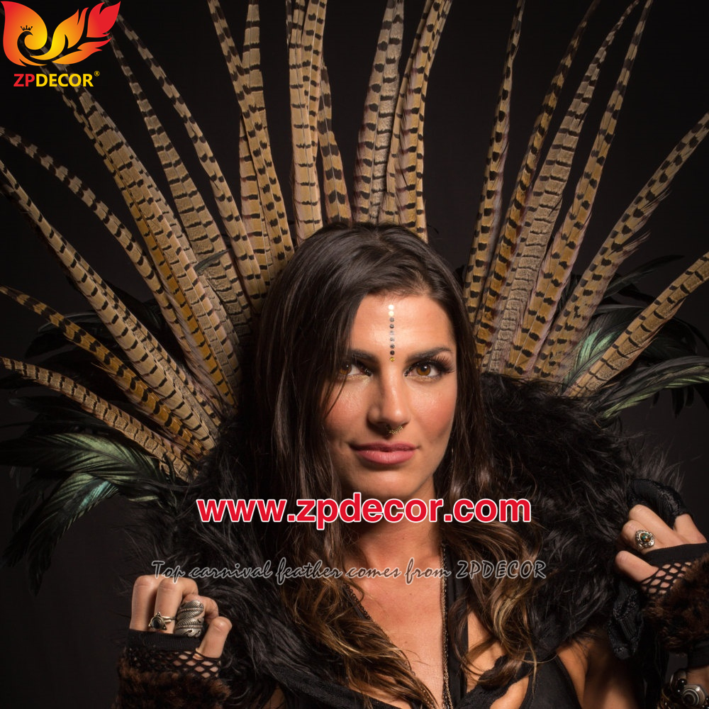 Zpdecor Feathers Factory Wholesale 50-55cm Natural Ringneck Pheasant Tail Feathers for Carnival Costumes