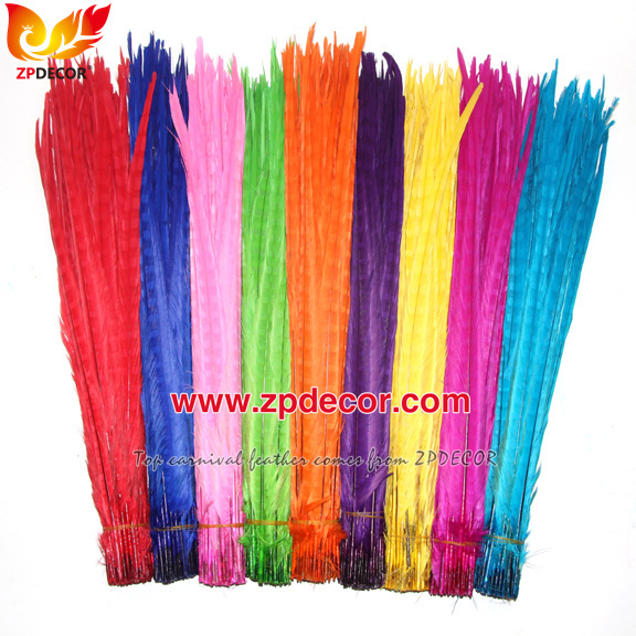 Zpdecor Feathers Factory Wholesale 50-55 cm Bleached Dyed Ringneck Pheasant Tail Feathers for Carnival Costumes