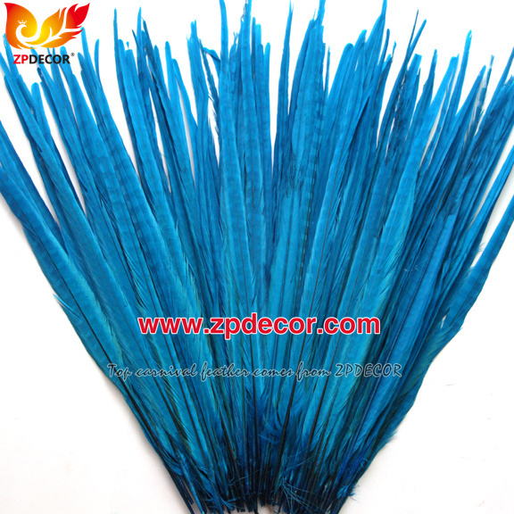 Zpdecor Feathers Factory Wholesale 50-55 cm Bleached Dyed Ringneck Pheasant Tail Feathers for Carnival Costumes