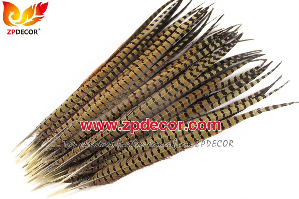 Zpdecor Feathers Factory Wholesale 50-55cm Natural Ringneck Pheasant Tail Feathers for Carnival Costumes