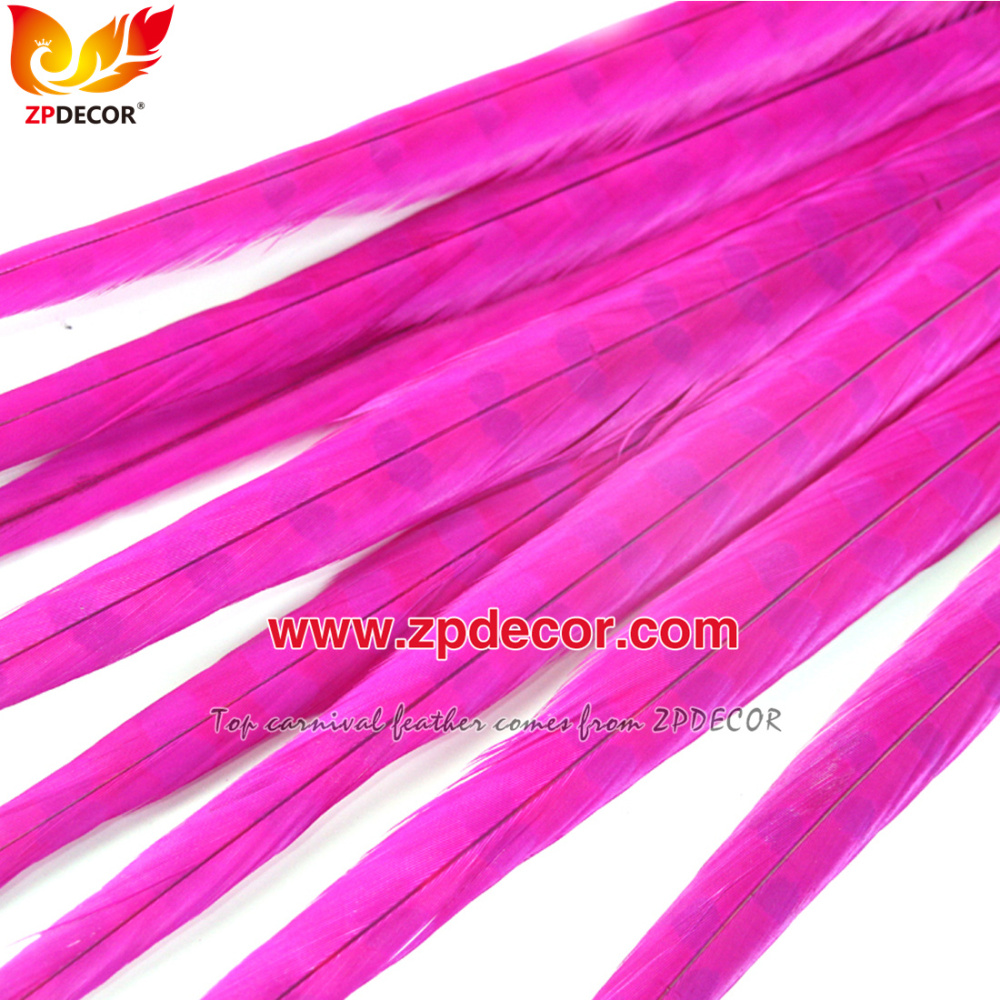 Zpdecor Feathers Factory Wholesale 50-55 cm Bleached Dyed Ringneck Pheasant Tail Feathers for Carnival Costumes