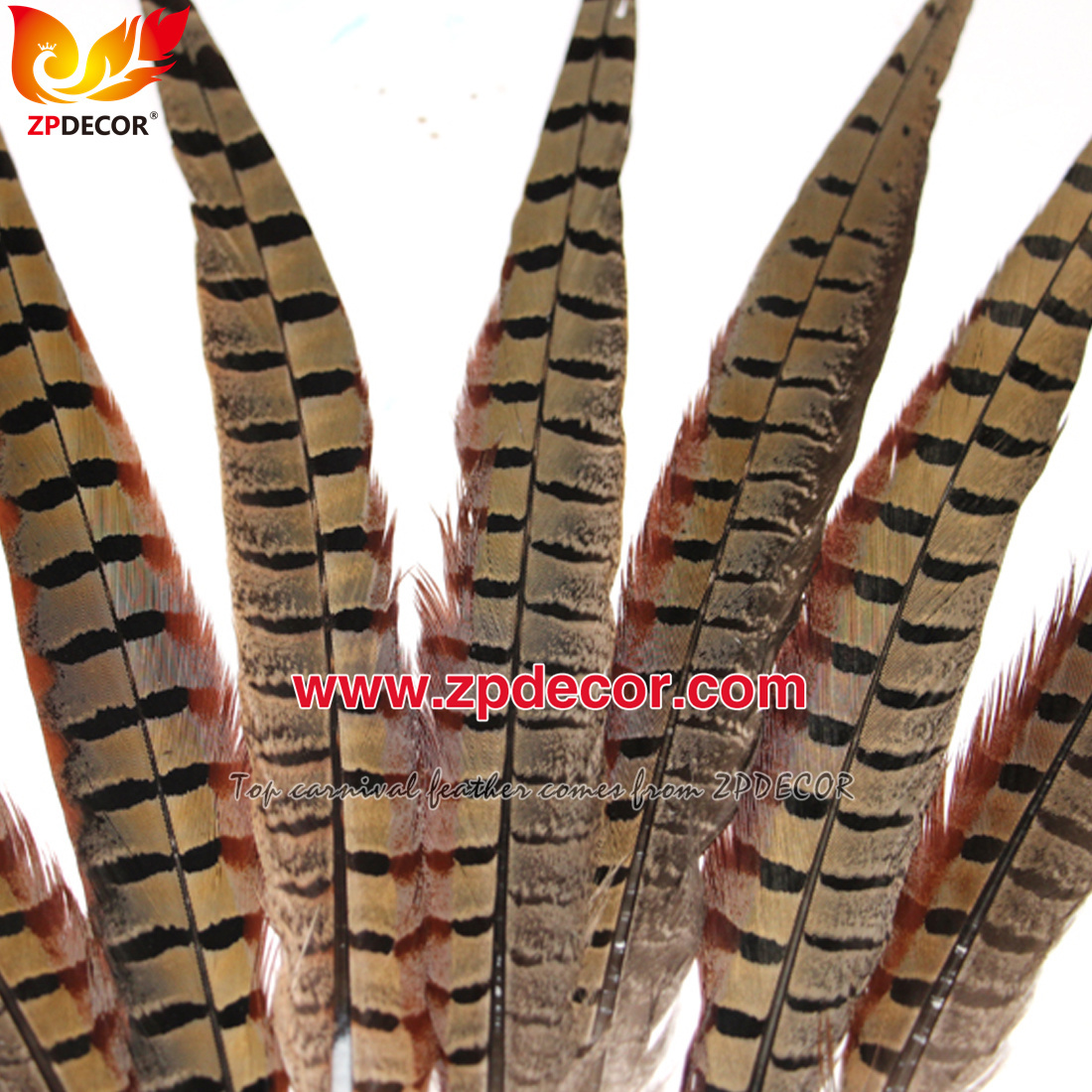 Zpdecor Feathers Factory Wholesale 25-30 cm Natural Ringneck Pheasant Tail Feathers for Amazon Seller