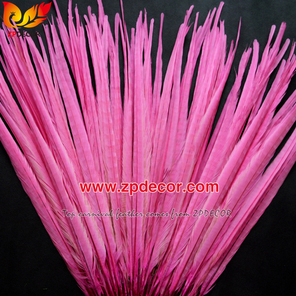 Zpdecor Feathers Factory Wholesale 50-55 cm Bleached Dyed Ringneck Pheasant Tail Feathers for Carnival Costumes
