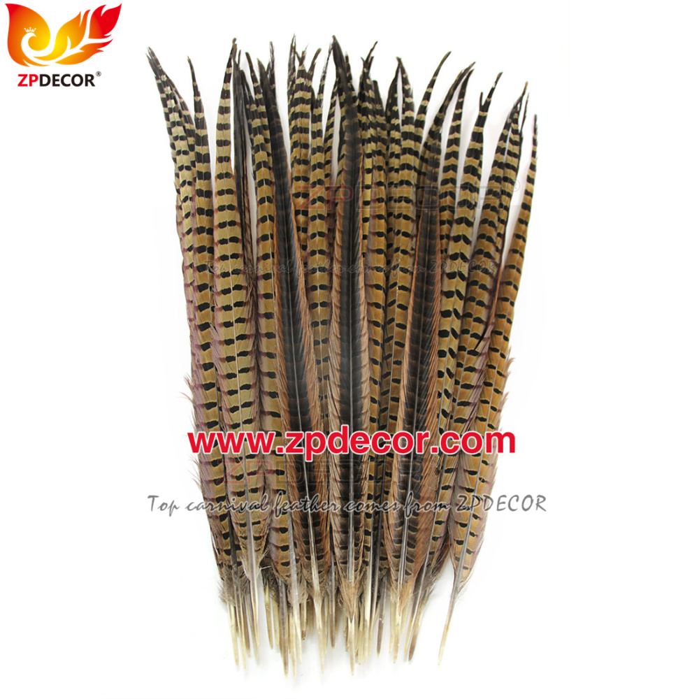 Zpdecor Feathers Factory Wholesale 50-55cm Natural Ringneck Pheasant Tail Feathers for Carnival Costumes