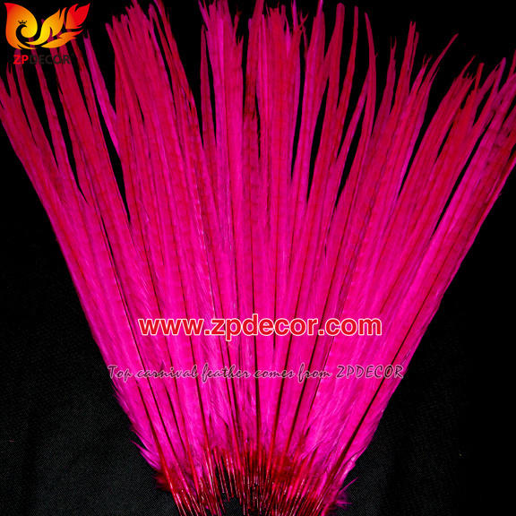 Zpdecor Feathers Factory Wholesale 50-55 cm Bleached Dyed Ringneck Pheasant Tail Feathers for Carnival Costumes