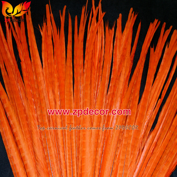 Zpdecor Feathers Factory Wholesale 50-55 cm Bleached Dyed Ringneck Pheasant Tail Feathers for Carnival Costumes