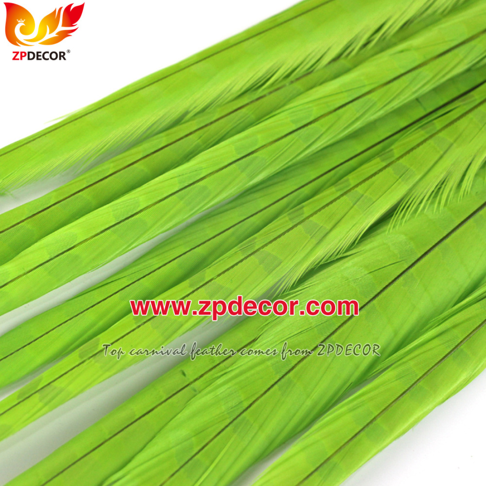 Zpdecor Feathers Factory Wholesale 50-55 cm Bleached Dyed Ringneck Pheasant Tail Feathers for Carnival Costumes