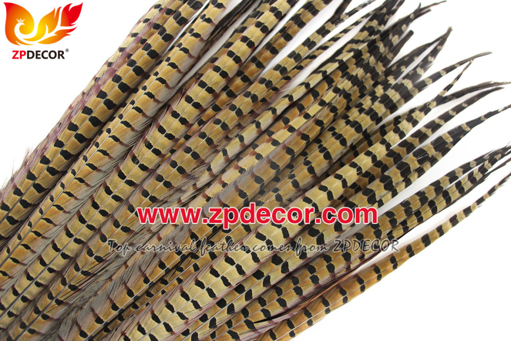 Zpdecor Feathers Factory Wholesale 50-55cm Natural Ringneck Pheasant Tail Feathers for Carnival Costumes