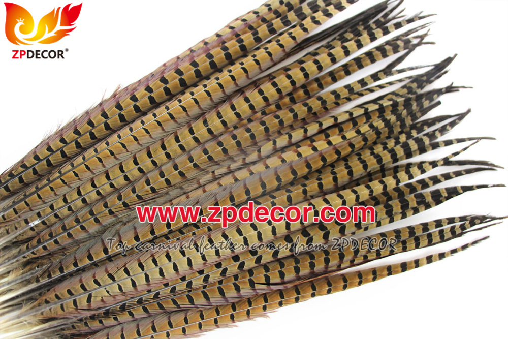 Zpdecor Feathers Factory Wholesale 50-55cm Natural Ringneck Pheasant Tail Feathers for Carnival Costumes
