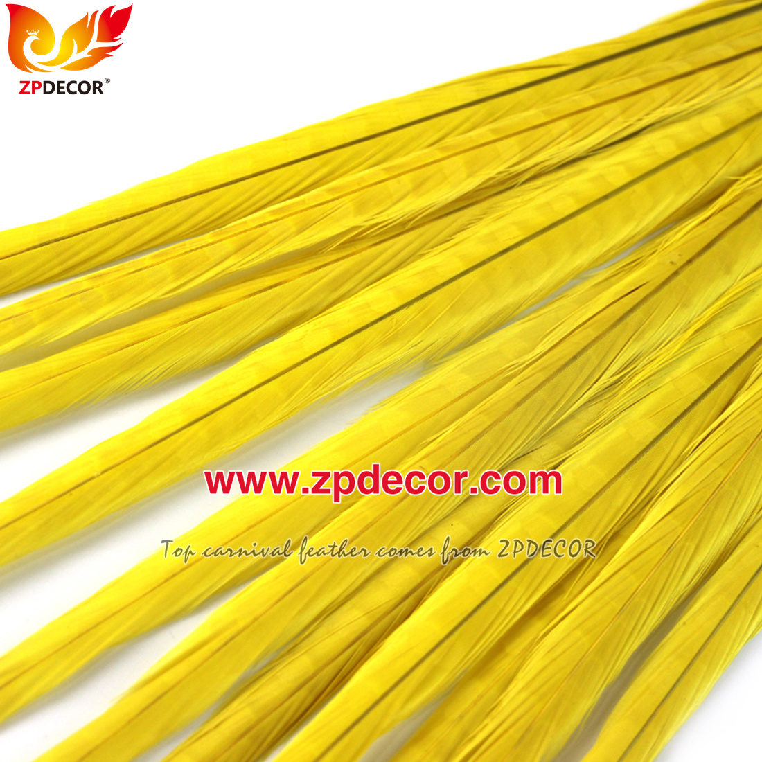 Zpdecor Feathers Factory Wholesale 50-55 cm Bleached Dyed Ringneck Pheasant Tail Feathers for Carnival Costumes