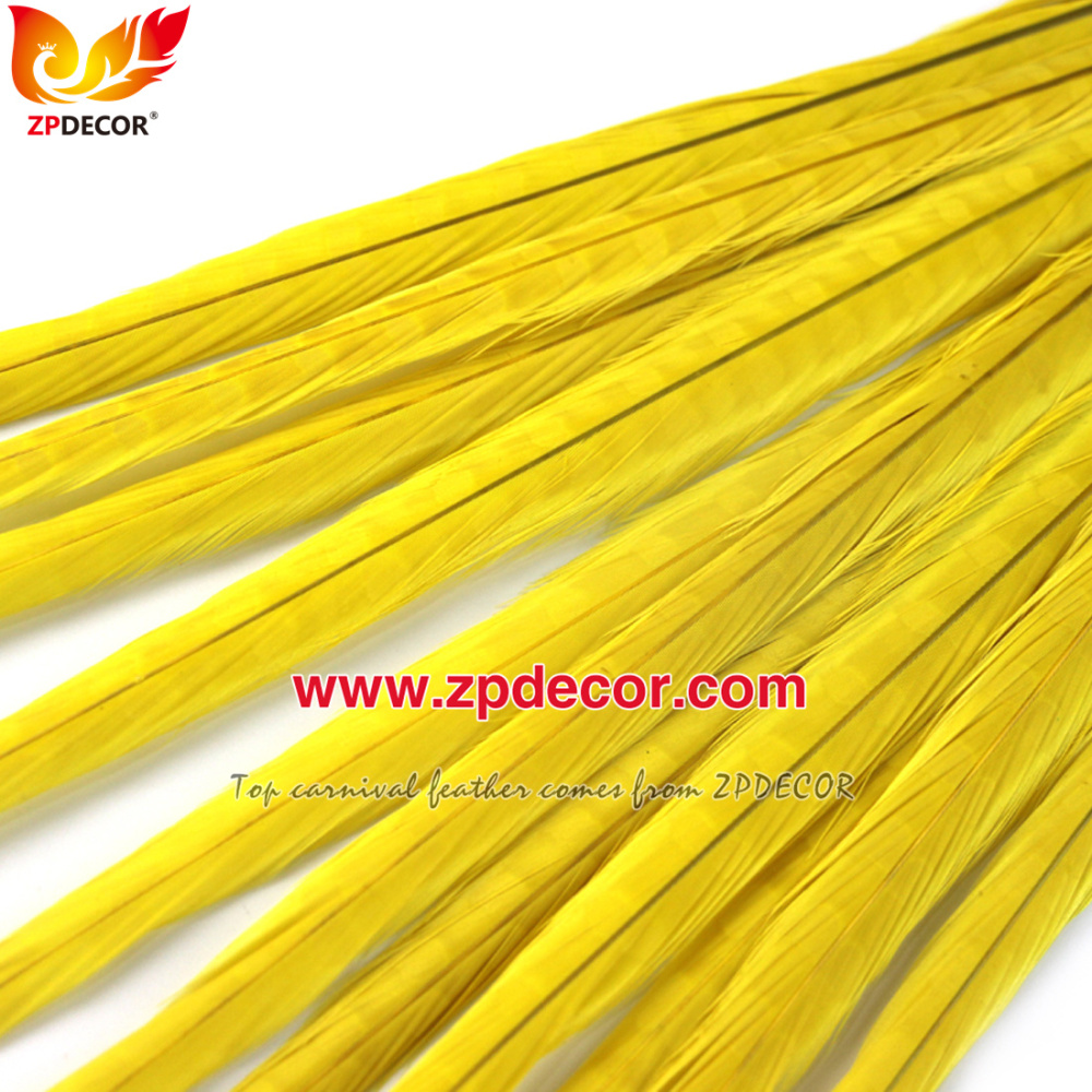 Zpdecor Feathers Factory Wholesale 50-55 cm Bleached Dyed Ringneck Pheasant Tail Feathers for Carnival Costumes