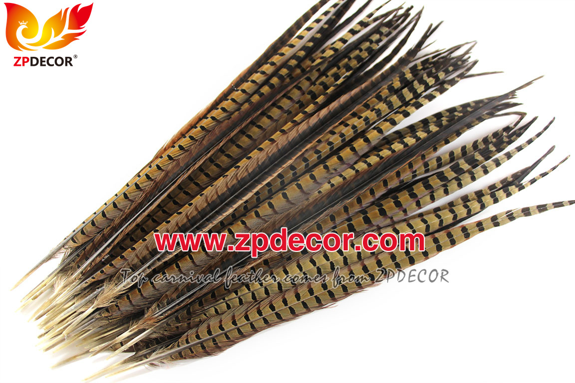 Zpdecor Feathers Factory Wholesale 50-55cm Natural Ringneck Pheasant Tail Feathers for Carnival Costumes