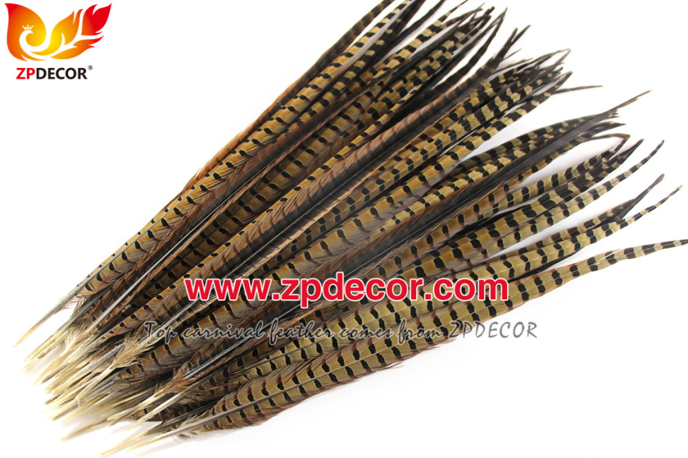 Zpdecor Feathers Factory Wholesale 50-55cm Natural Ringneck Pheasant Tail Feathers for Carnival Costumes