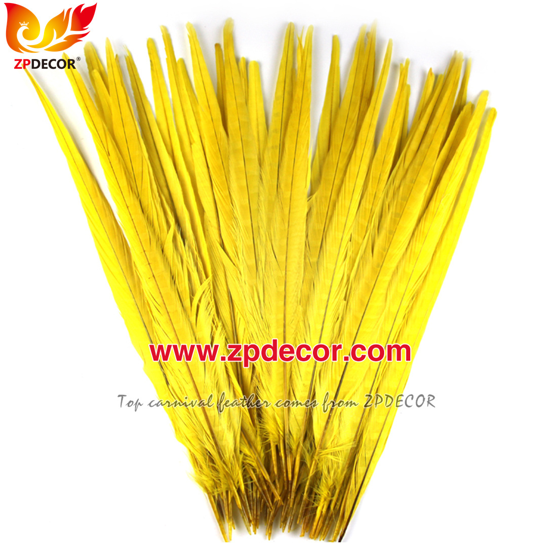 Zpdecor Feathers Factory Wholesale 40-45 cm Bleached Dyed Ringneck Pheasant Tail Feathers