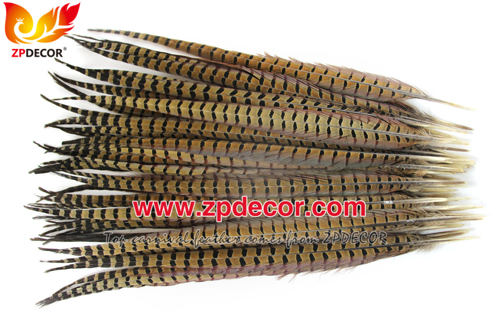 Zpdecor Feathers Factory Wholesale 50-55cm Natural Ringneck Pheasant Tail Feathers for Carnival Costumes