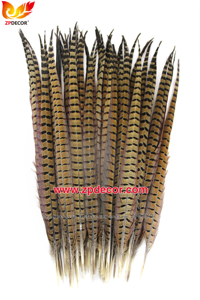 Zpdecor Feathers Factory Wholesale 50-55cm Natural Ringneck Pheasant Tail Feathers for Carnival Costumes
