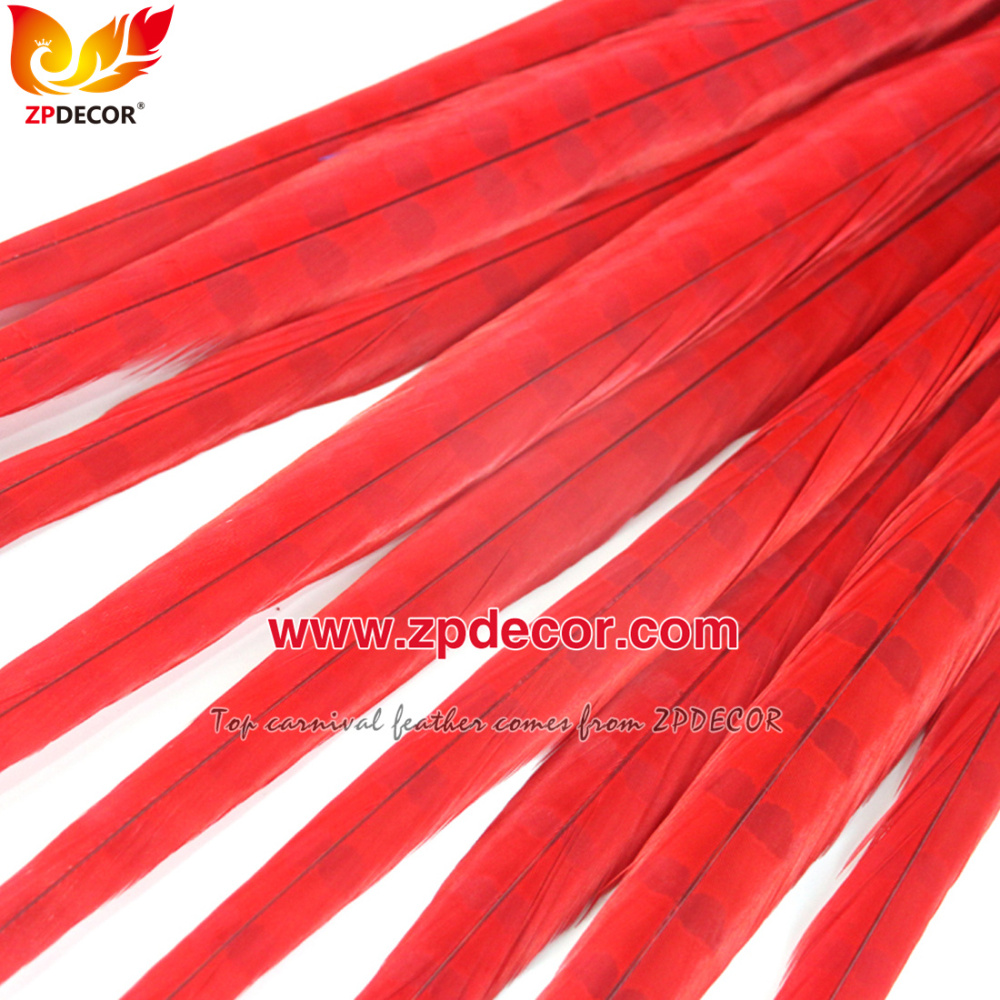 Zpdecor Feathers Factory Wholesale 50-55 cm Bleached Dyed Ringneck Pheasant Tail Feathers for Carnival Costumes