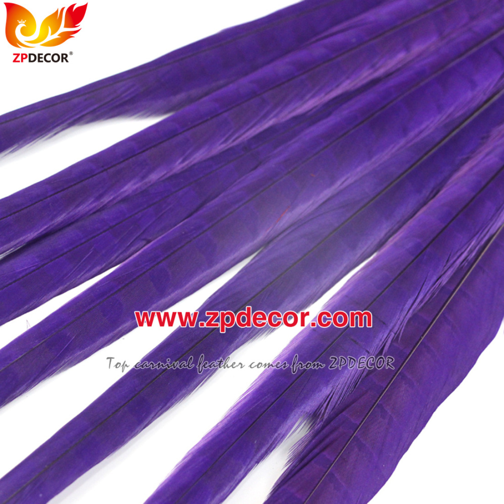 Zpdecor Feathers Factory Wholesale 50-55 cm Bleached Dyed Ringneck Pheasant Tail Feathers for Carnival Costumes