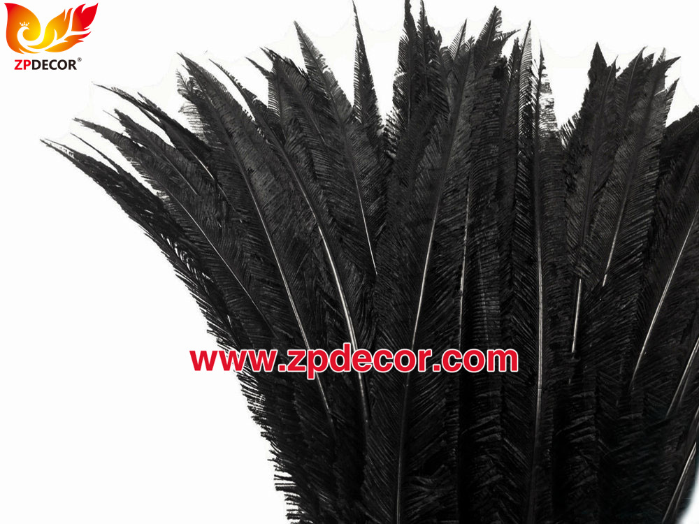 Zpdecor Feathers Factory Wholesale Trimmed Black Ostrich Nandu Feathers for Carnival Costumes