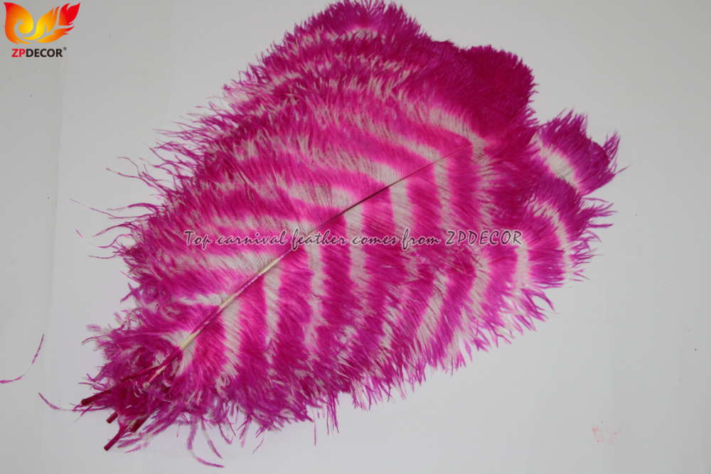 Zpdecor Feathers Wholsale Ostrich Feathers
