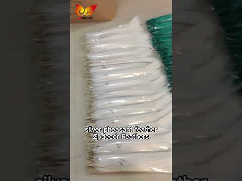 Zpdecor Feather Top Supplier Wholesale Natural Silver Pheasant Tail Feathers for Carnival Costumes Design