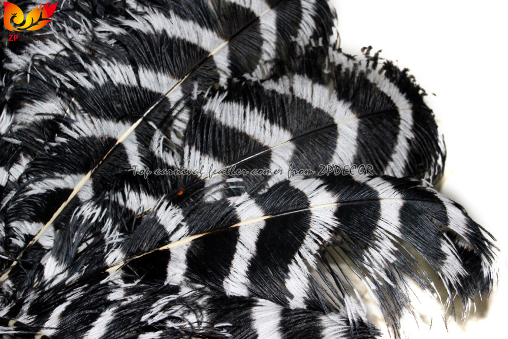 Zpdecor Feathers Wholsale Striped Ostrich Feathers