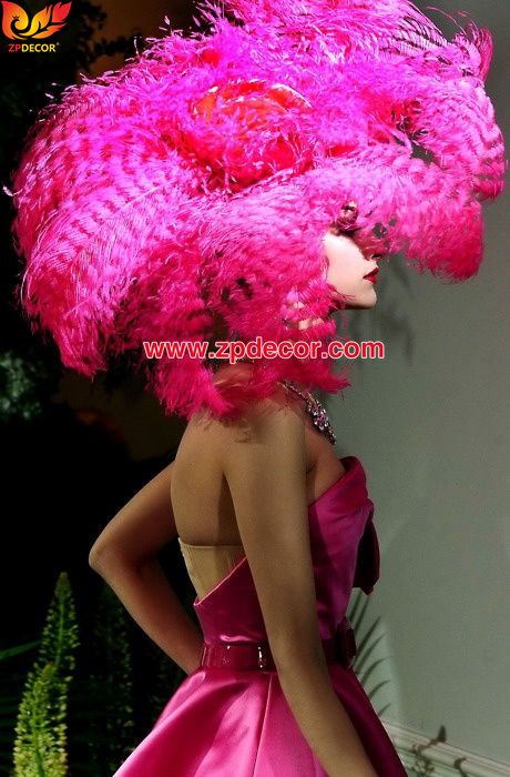 Zpdecor Feathers Factory Wholesale Sintering Process Ostrich Feathers for Fashion Costumes Design