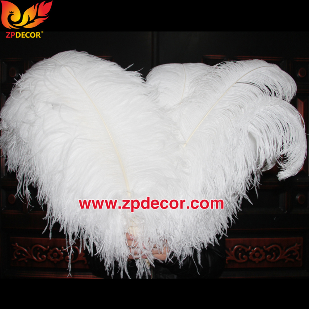 Zpdecor Feathers Factory Wholsale 70-75cm Large White Ostrich Feathers