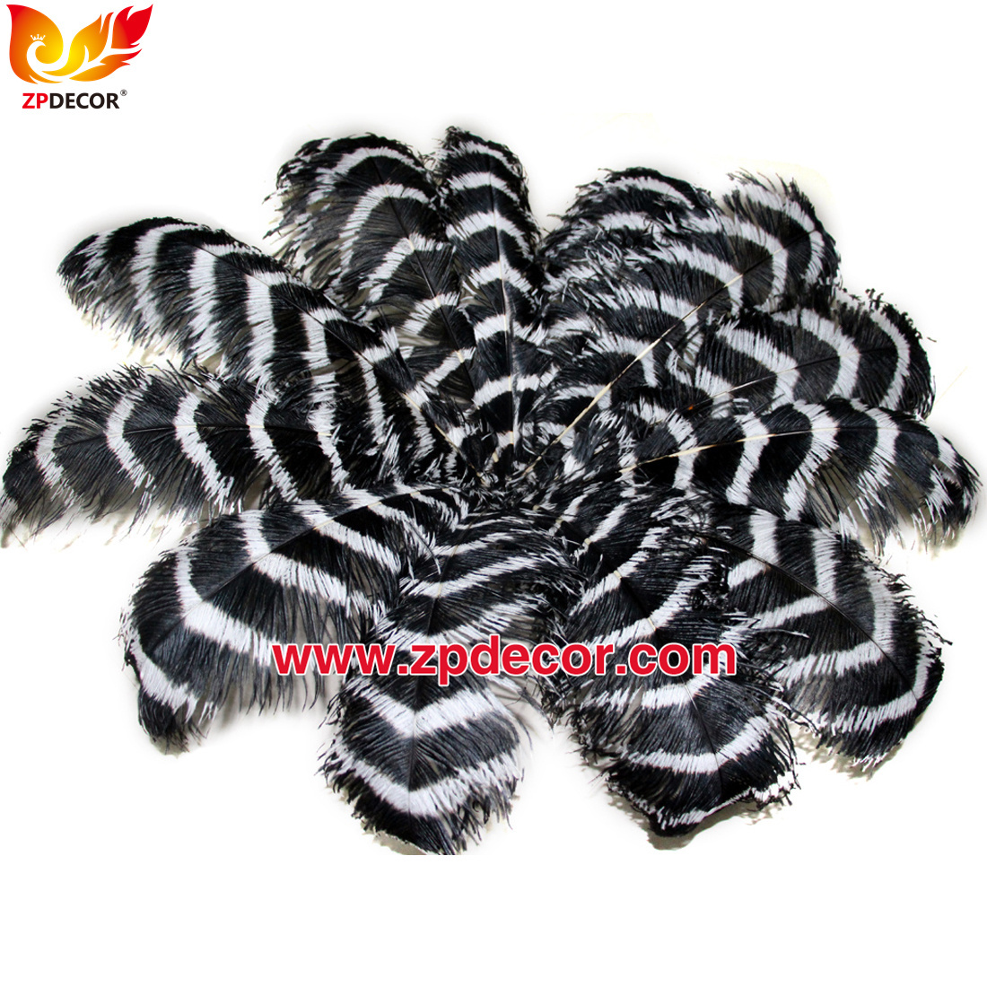 Zpdecor Feathers Wholsale Striped Ostrich Feathers