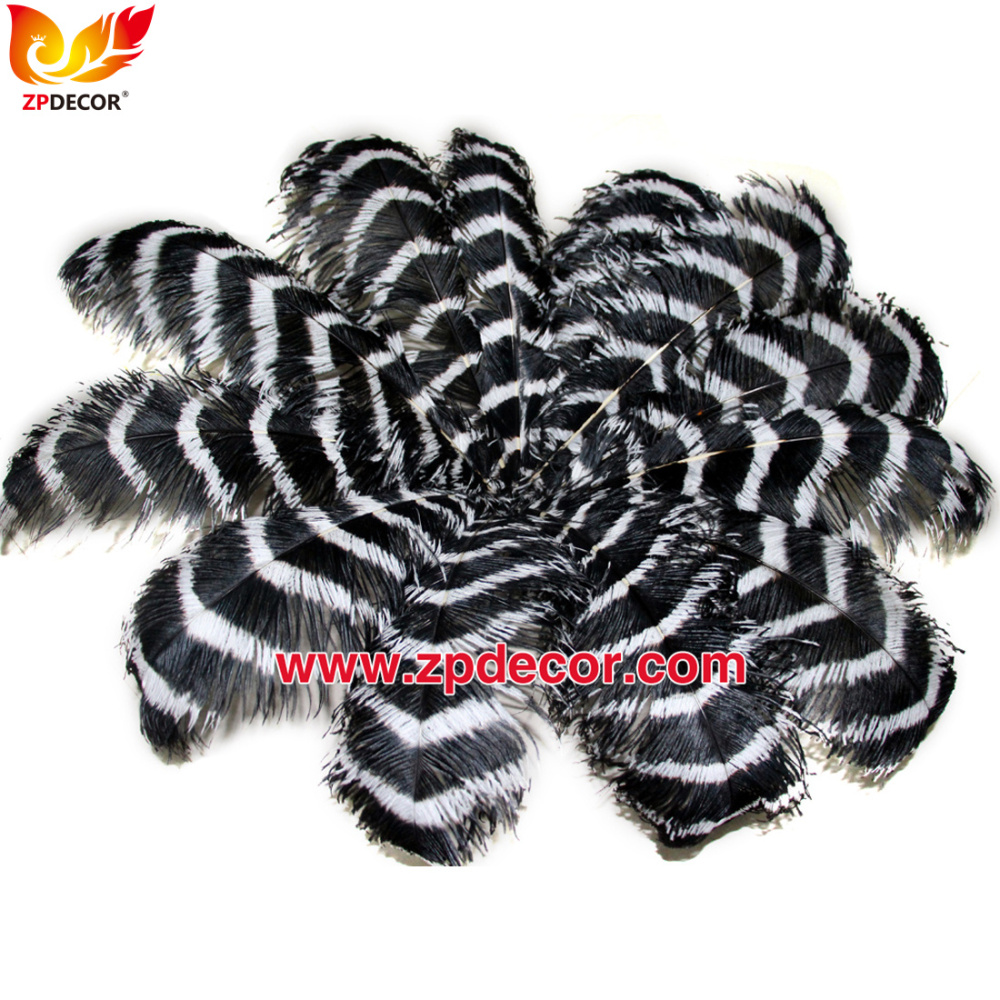 Zpdecor Feathers Wholsale Striped Ostrich Feathers