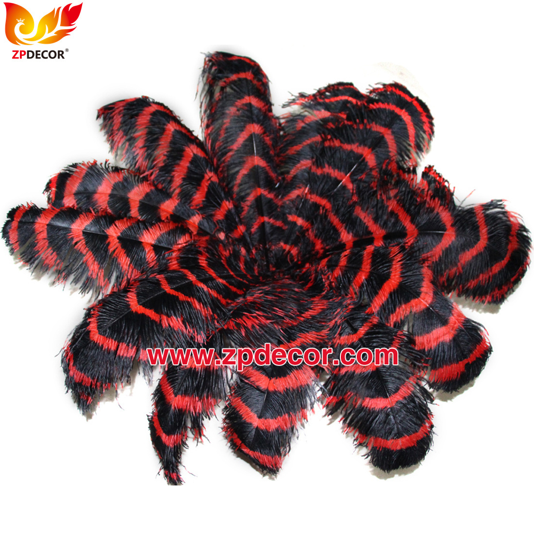 Zpdecor Feathers Wholsale Striped Ostrich Feathers
