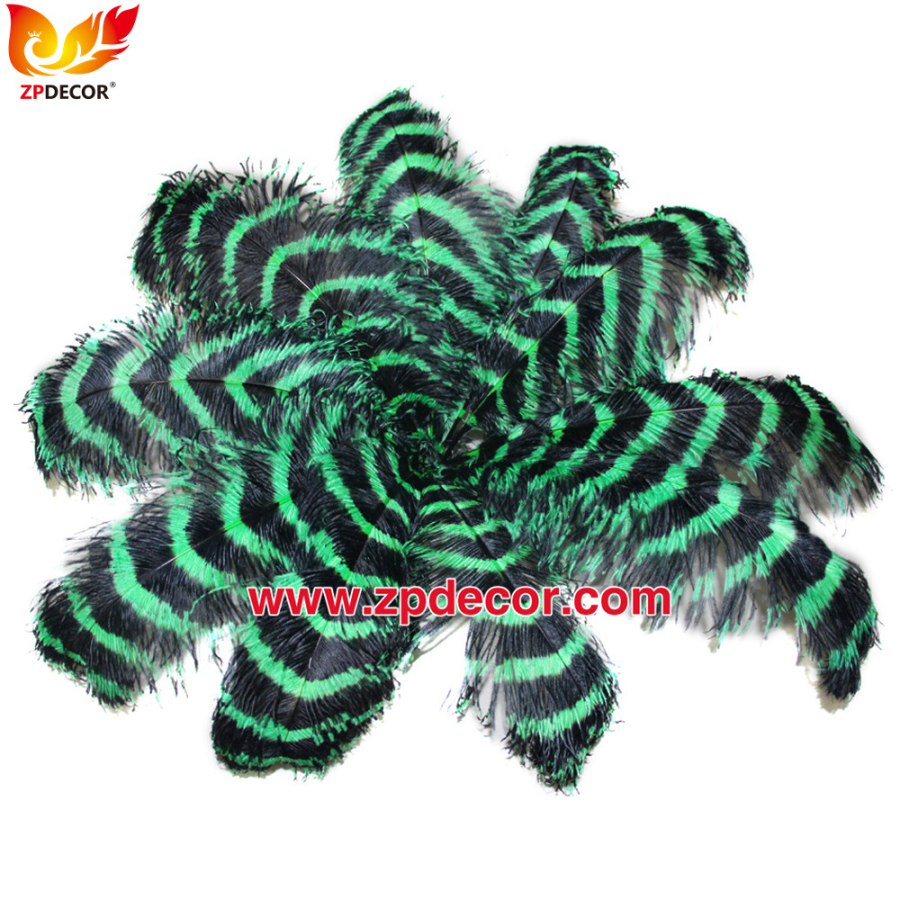 Zpdecor Feathers Wholsale Striped Ostrich Feathers