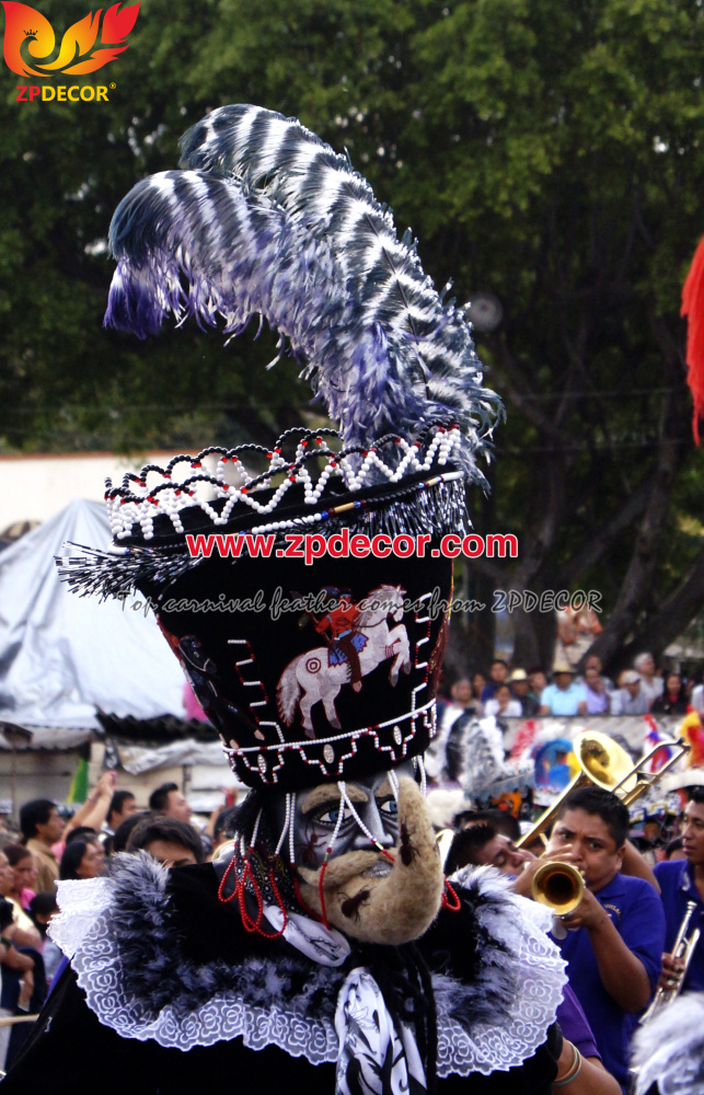 Zpdecor Feathers Wholsale Ostrich Feathers