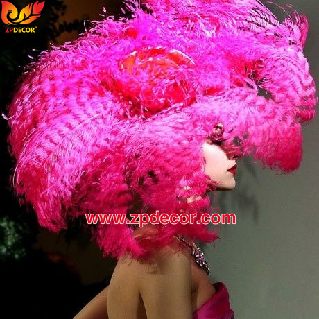 Zpdecor Feathers Factory Wholesale Sintering Process Ostrich Feathers for Fashion Costumes Design