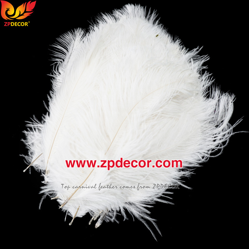Zpdecor Feathers Factory Wholesale 15-20 cm White and Dyed Ostrich Feathers for Wedding Decoration