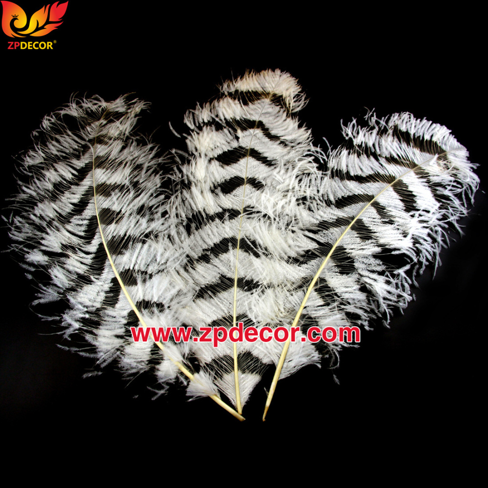 Zpdecor Feathers Factory Wholesale Sintering Process Ostrich Feathers for Fashion Costumes Design