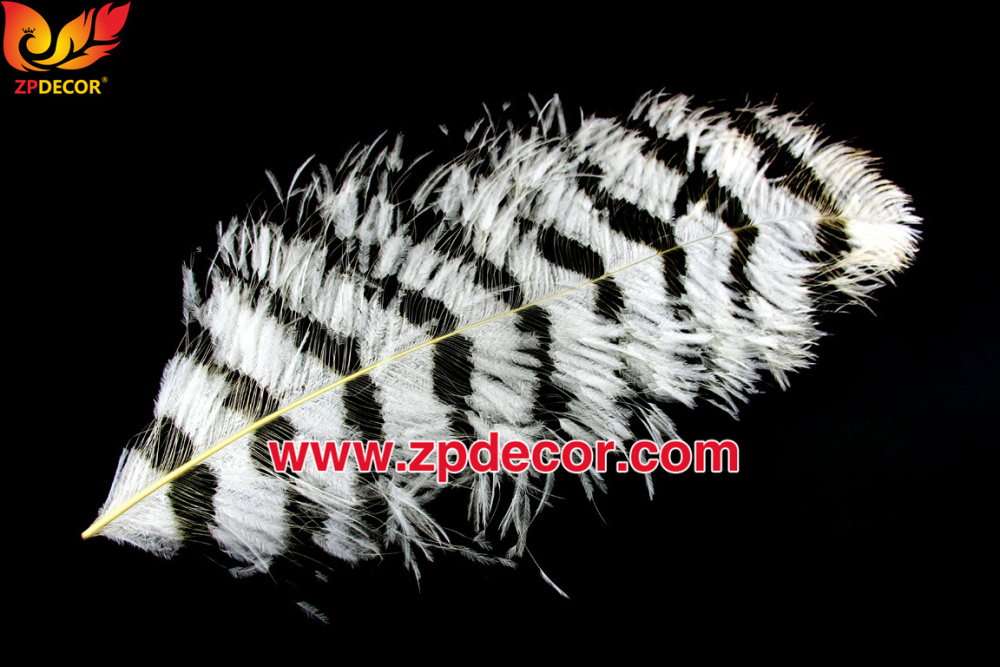 Zpdecor Feathers Factory Wholesale Sintering Process Ostrich Feathers for Fashion Costumes Design