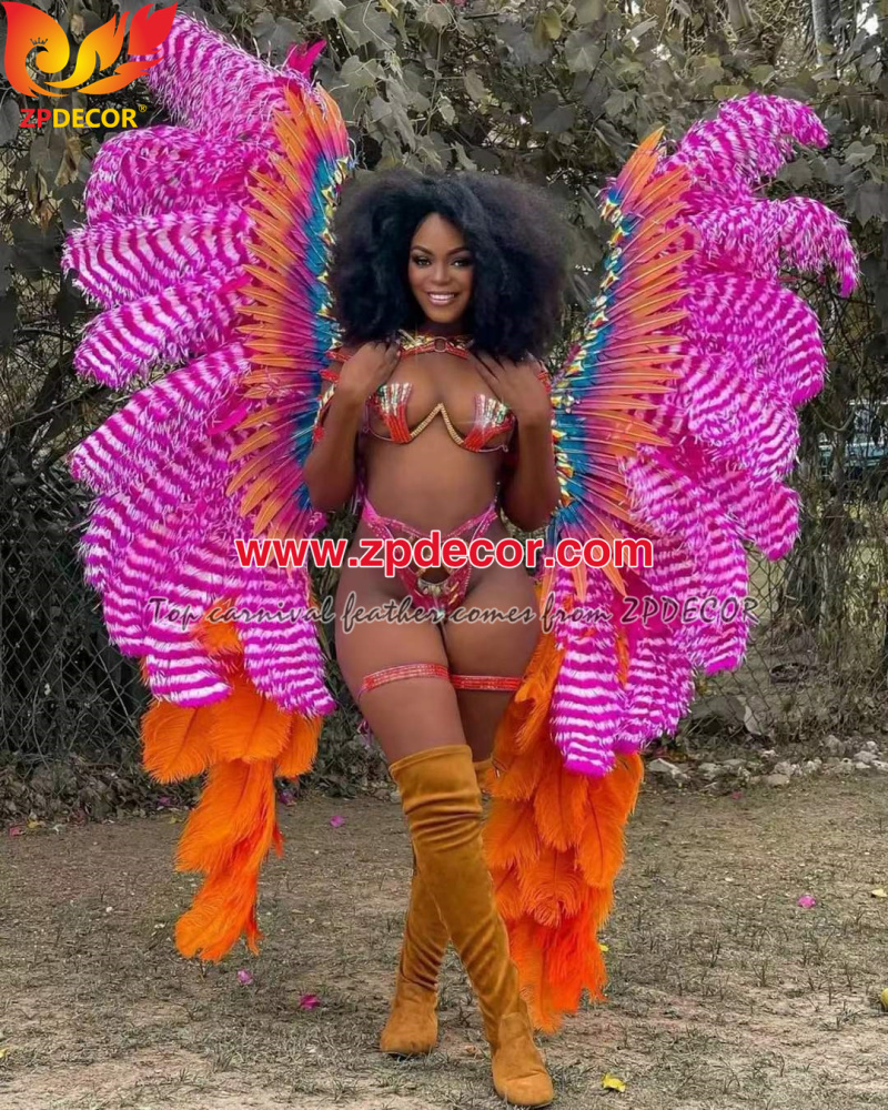 Zpdecor Feathers Wholsale Ostrich Feathers