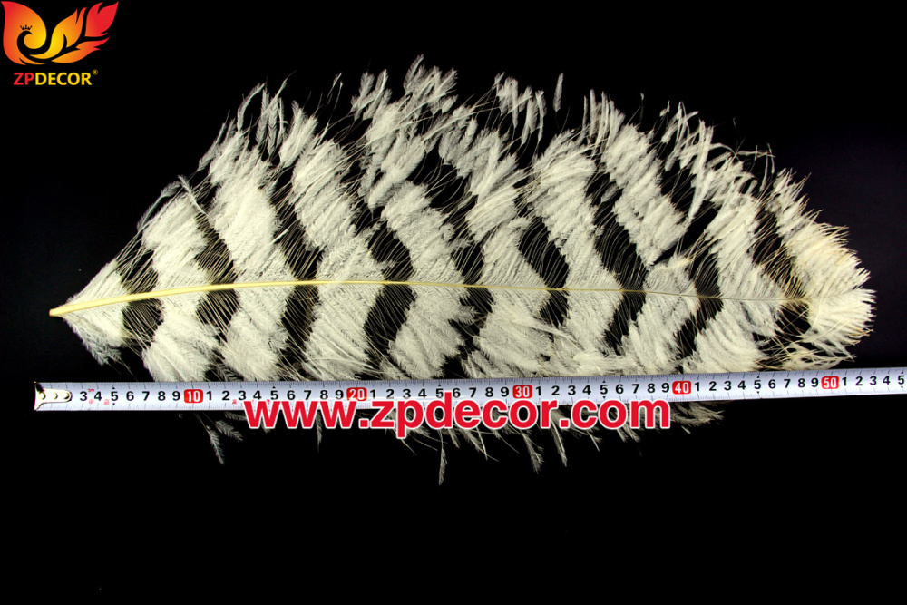 Zpdecor Feathers Factory Wholesale Sintering Process Ostrich Feathers for Fashion Costumes Design