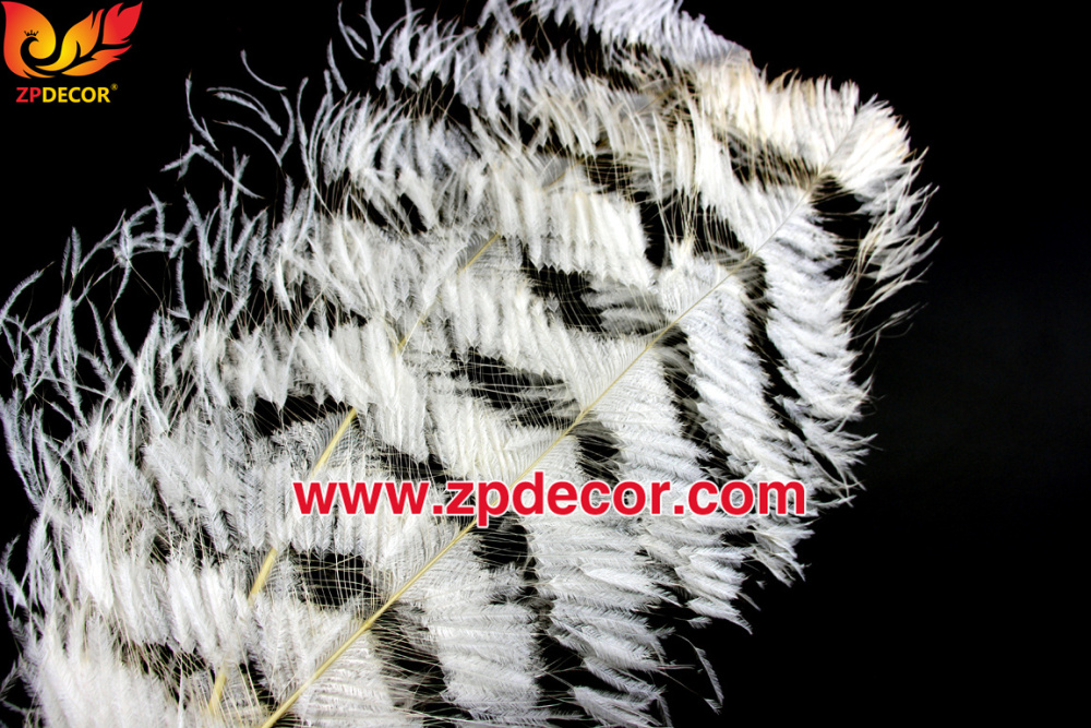 Zpdecor Feathers Factory Wholesale Sintering Process Ostrich Feathers for Fashion Costumes Design