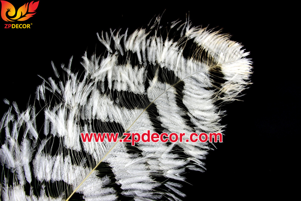 Zpdecor Feathers Factory Wholesale Sintering Process Ostrich Feathers for Fashion Costumes Design
