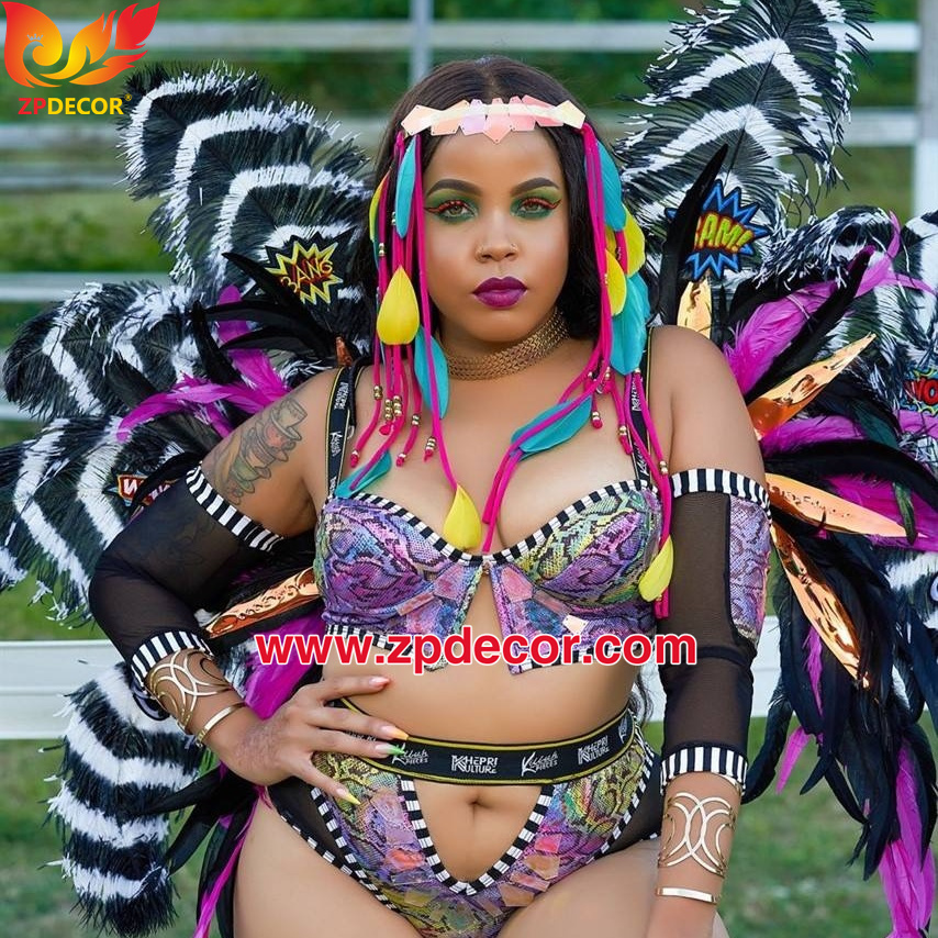 Zpdecor Feathers Wholsale Striped Black and White Large Ostrich Feathers for Carnival Costumes