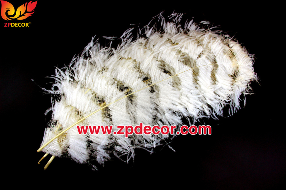 Zpdecor Feathers Factory Wholesale Sintering Process Ostrich Feathers for Fashion Costumes Design