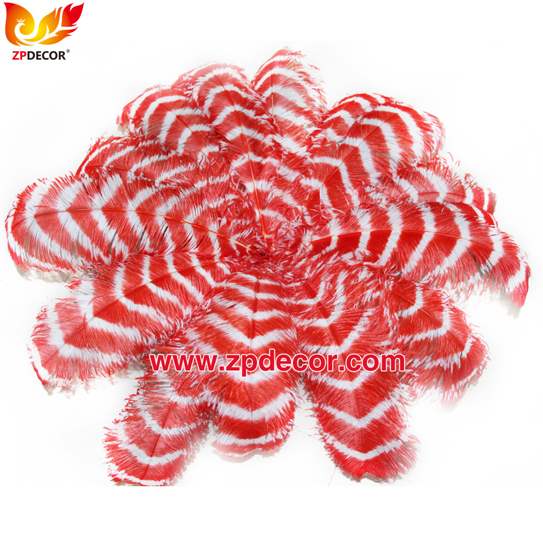 Zpdecor Feathers Wholsale Striped Ostrich Feathers