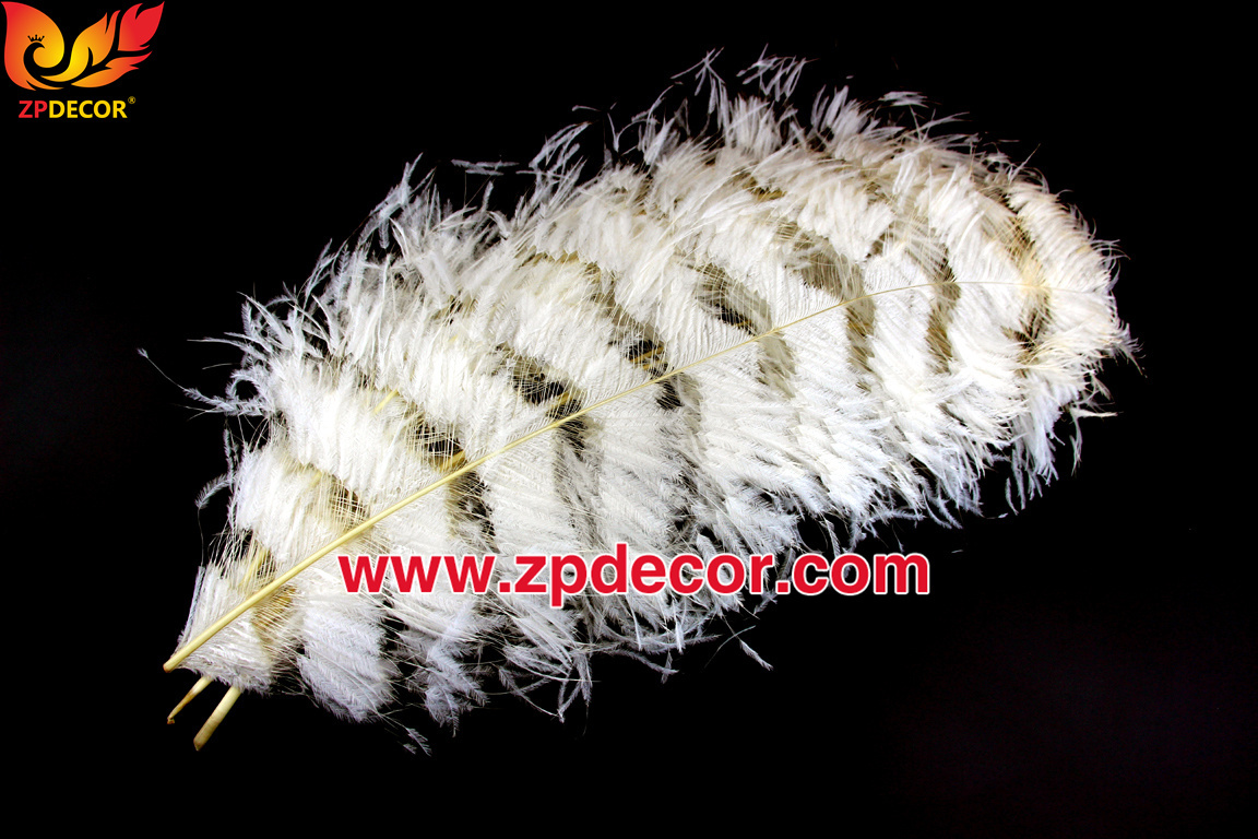 Zpdecor Feathers Factory Wholesale Sintering Process Ostrich Feathers for Fashion Costumes Design