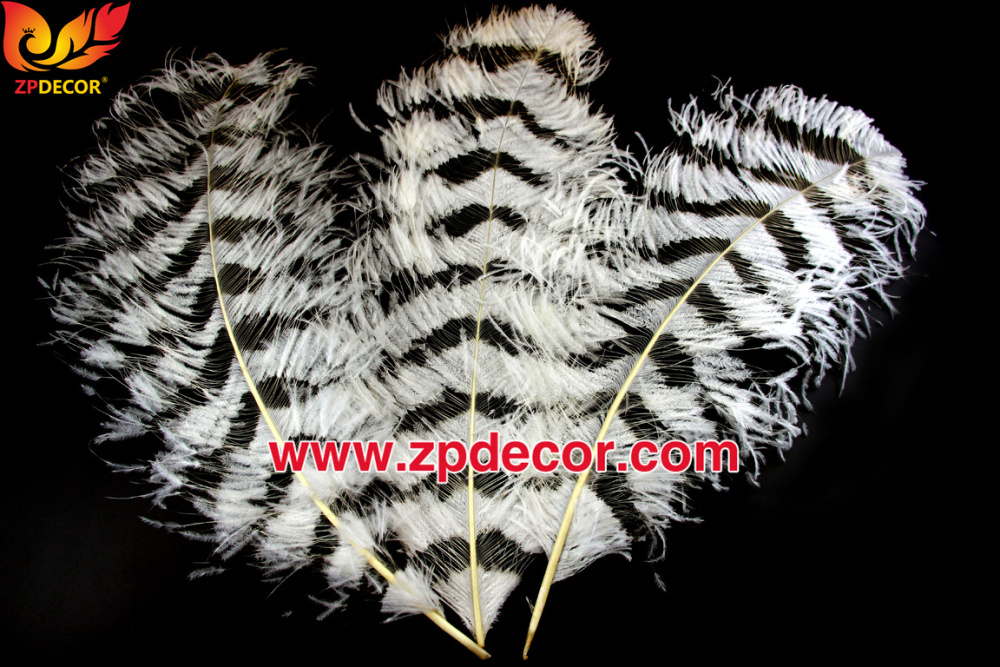 Zpdecor Feathers Factory Wholesale Sintering Process Ostrich Feathers for Fashion Costumes Design