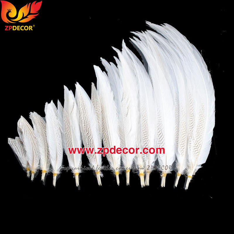 Zpdecor Feather Top Supplier Wholesale Natural Silver Pheasant Tail Feathers for Carnival Costumes Design