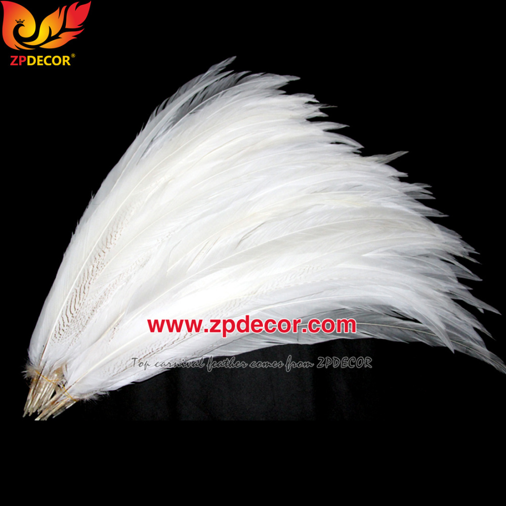 Zpdecor Feather Top Supplier Wholesale Natural Silver Pheasant Tail Feathers for Carnival Costumes Design