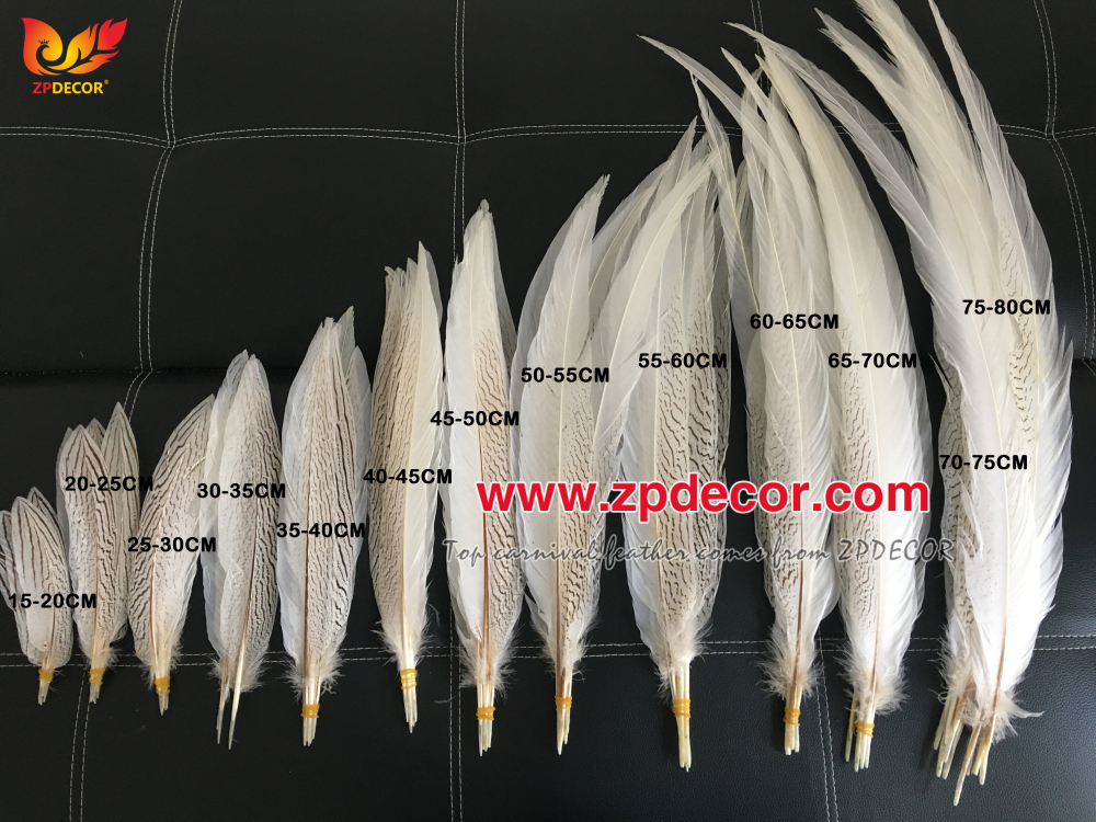 Zpdecor Feather Top Supplier Wholesale Natural Silver Pheasant Tail Feathers for Carnival Costumes Design