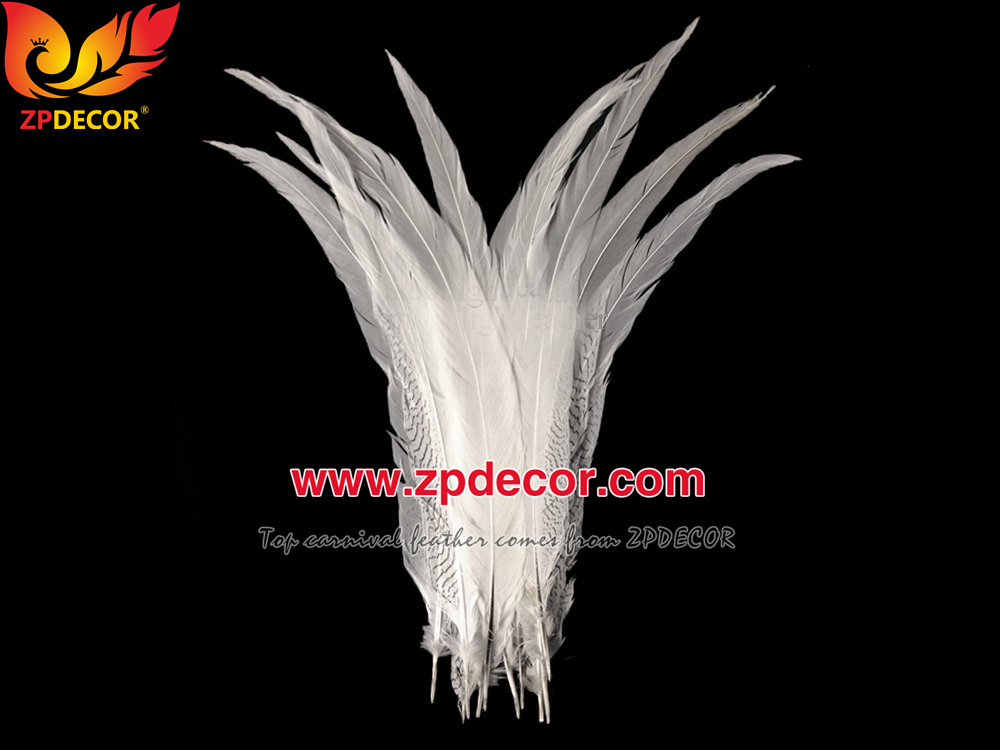 Zpdecor Feather Top Supplier Wholesale 60-65cm Natural Silver Pheasant Tail Feathers for Carnival Costumes Design
